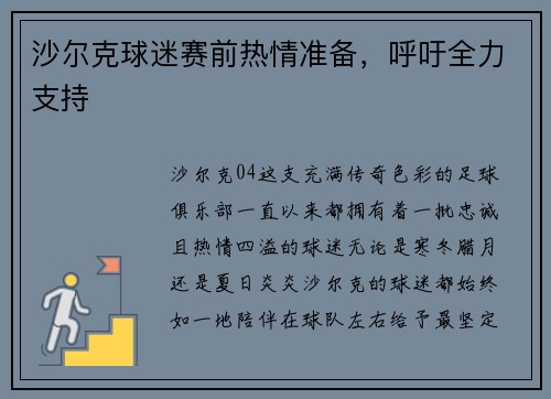 沙尔克球迷赛前热情准备，呼吁全力支持