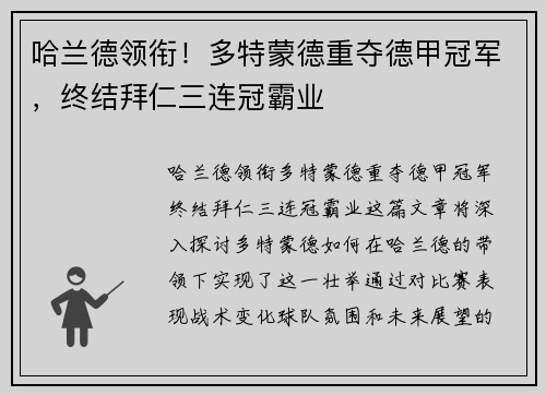 哈兰德领衔!多特蒙德重夺德甲冠军,终结拜仁三连冠霸业 哈兰德领衔!多特蒙德重夺德甲冠军,终结拜仁三连冠霸业